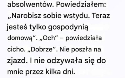 Myślałem, że ona „nic” nie robiła przez cały dzień — ale jedno pudełko pokazało mi, że się myliłem
