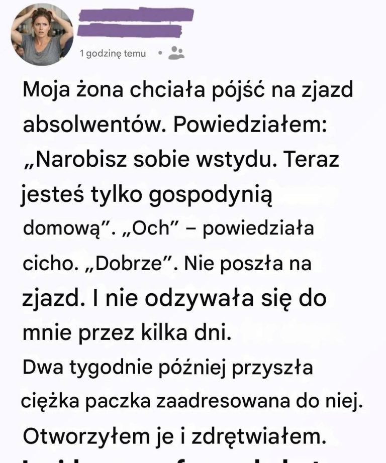 Myślałem, że ona „nic” nie robiła przez cały dzień — ale jedno pudełko pokazało mi, że się myliłem